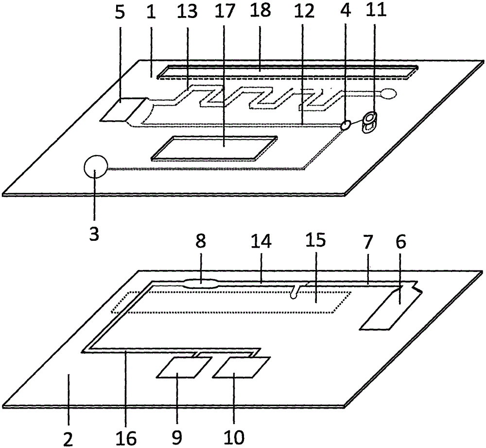 Magnetic particle chemiluminiscence micro-fluidic chip for detecting n-terminal portion of brain natriuretic peptide in whole blood