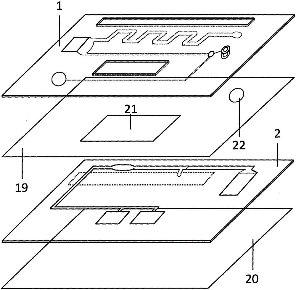 Magnetic particle chemiluminiscence micro-fluidic chip for detecting n-terminal portion of brain natriuretic peptide in whole blood