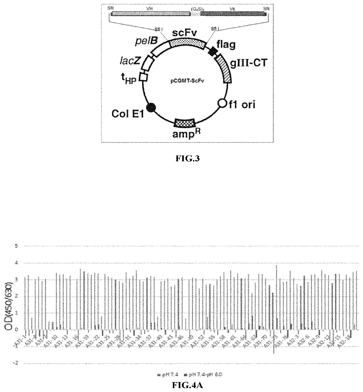 Novel Anti-hepatitis b virus antibody and uses thereof