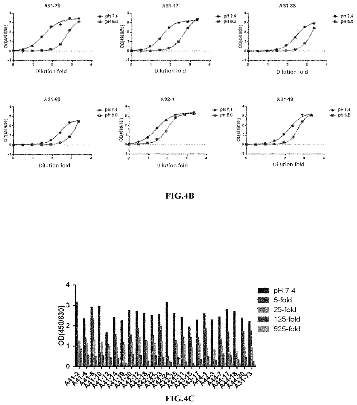 Novel Anti-hepatitis b virus antibody and uses thereof