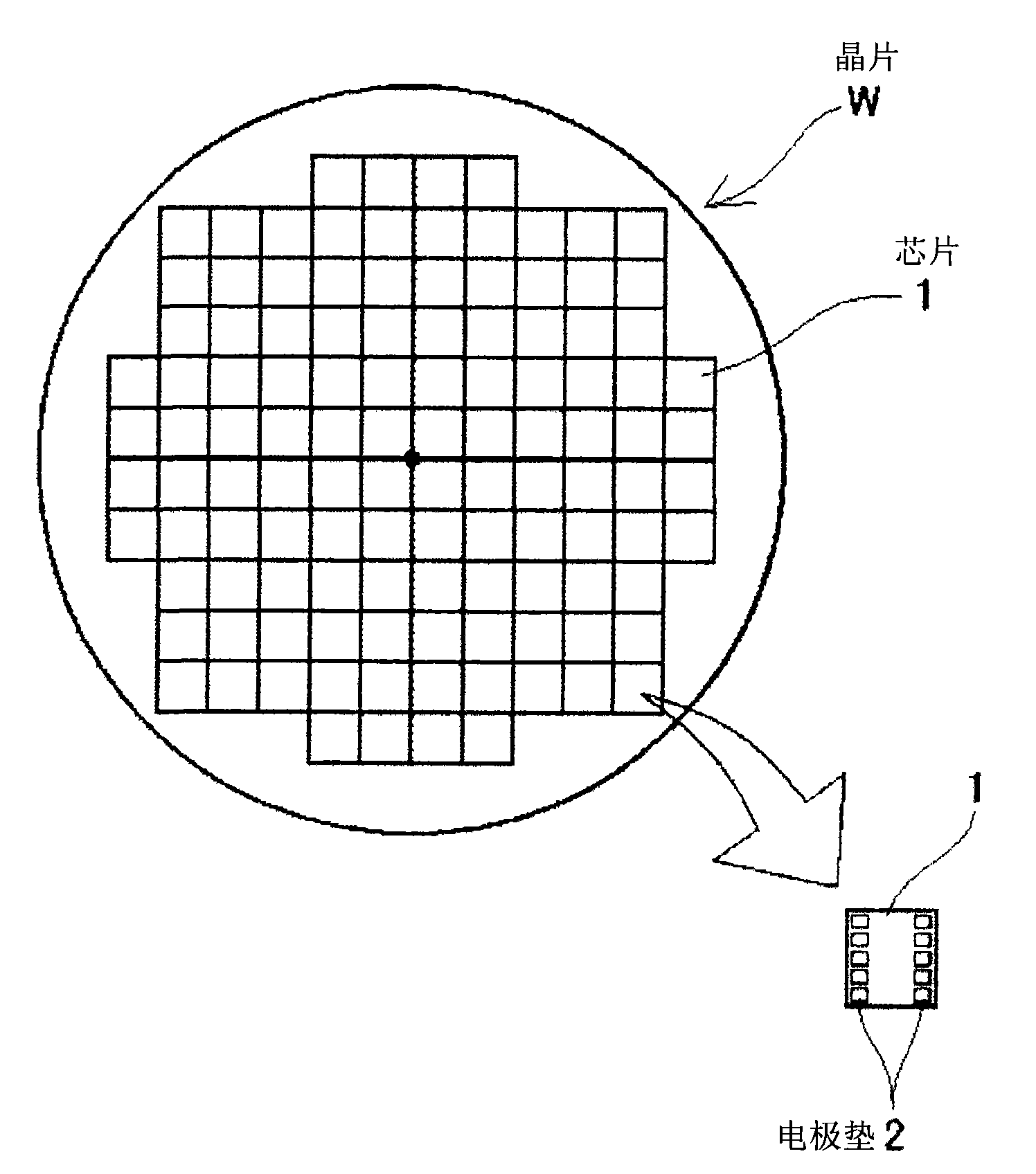 Needle track inspection device, detecting device and needle track checking procedure