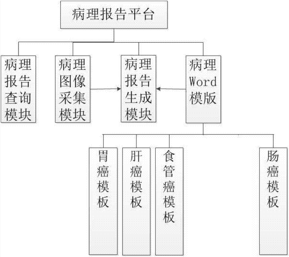 Pathological diagnosis report generation system and method applicable to liver cancer and gastrointestinal carcinoma