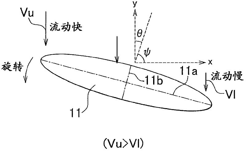 Pigment orientation estimating method