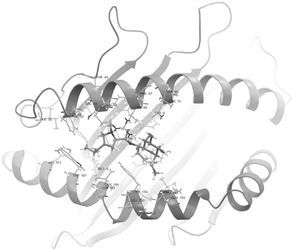 Human leukocyte antigen gene detection kit for screening skin adverse reactions caused by clindamycin