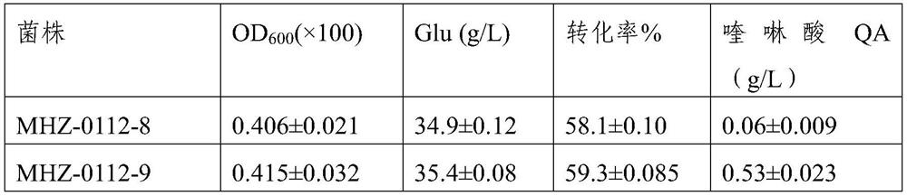 Quinolinic acid synthase mutant and application thereof