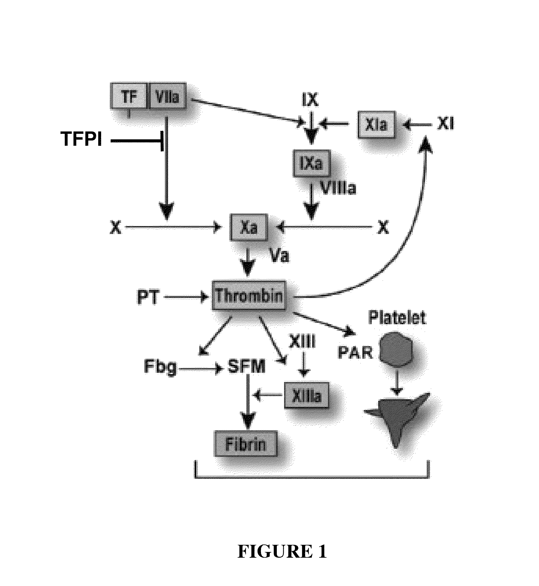 TFPI inhibitors and methods of use