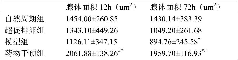 New use of traditional Chinese medicine composition in preparing medicine for improving endometrial receptivity