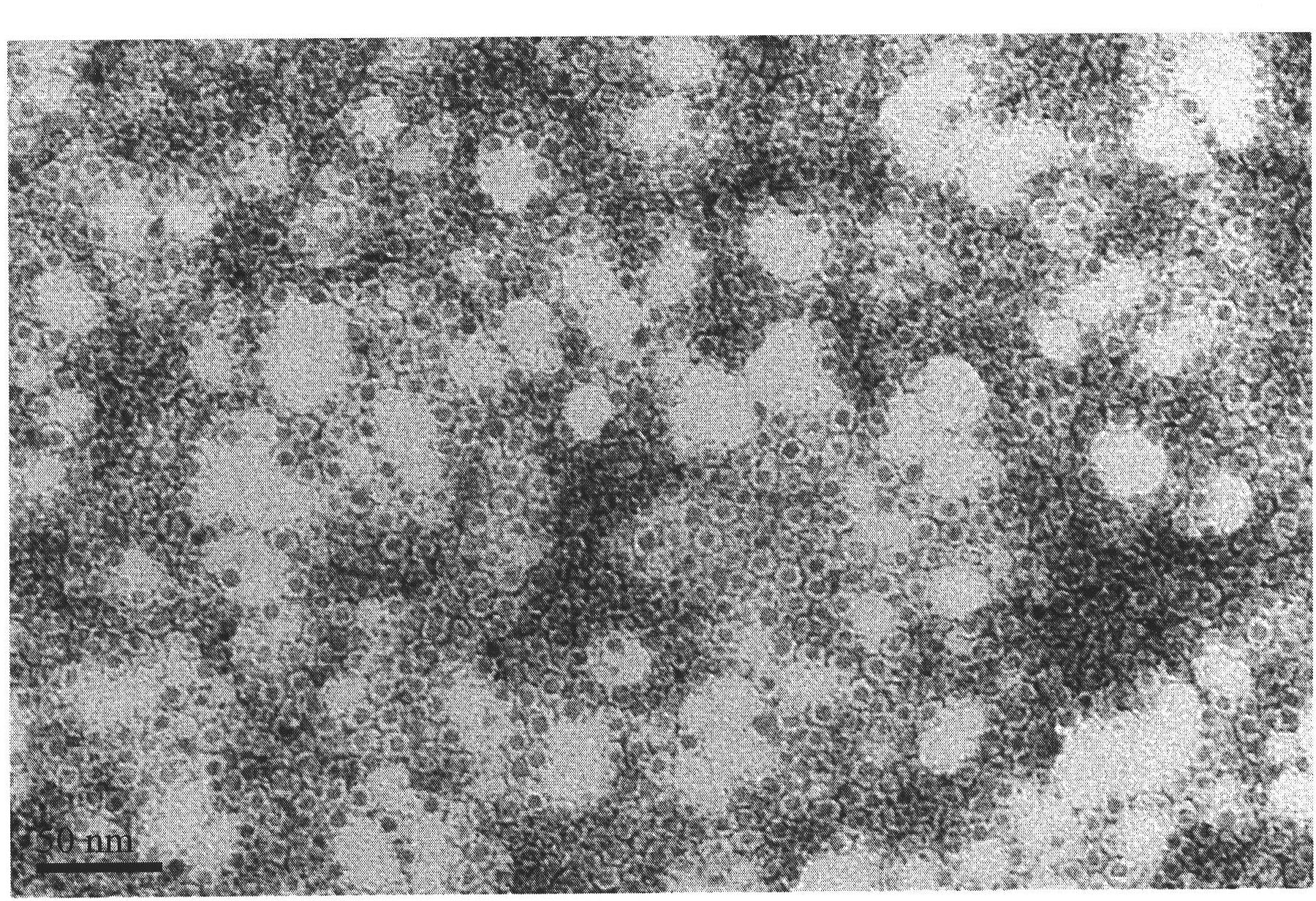 Animal magnetic ferritin material and its preparation method