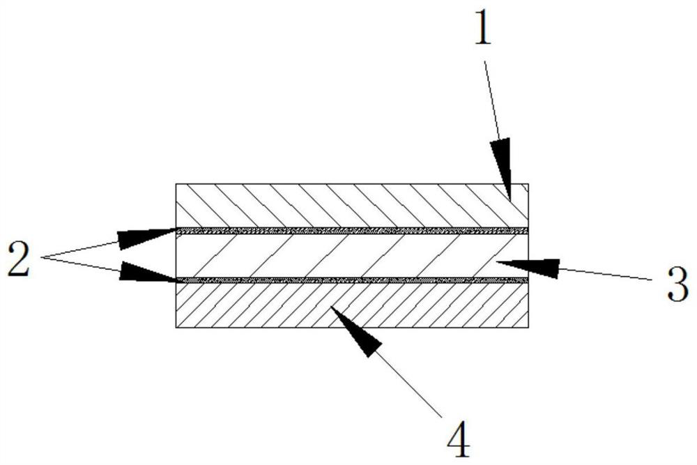 a diaphragm