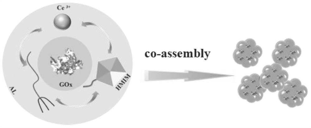 Novel cerium-mediated co-assembled multifunctional nano-enzyme (CHA at GOx) for diabetes wound treatment