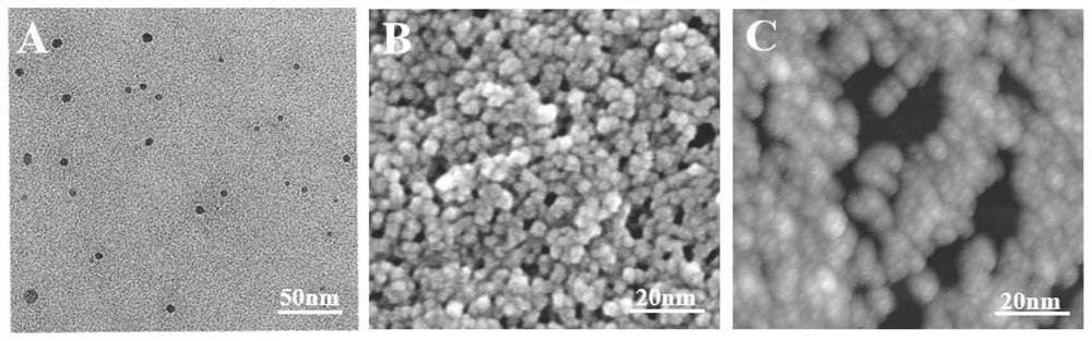 Novel cerium-mediated co-assembled multifunctional nano-enzyme (CHA at GOx) for diabetes wound treatment