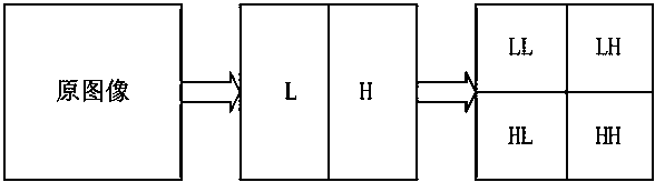 Skin scar image judgment method based on second harmonic image texture analysis