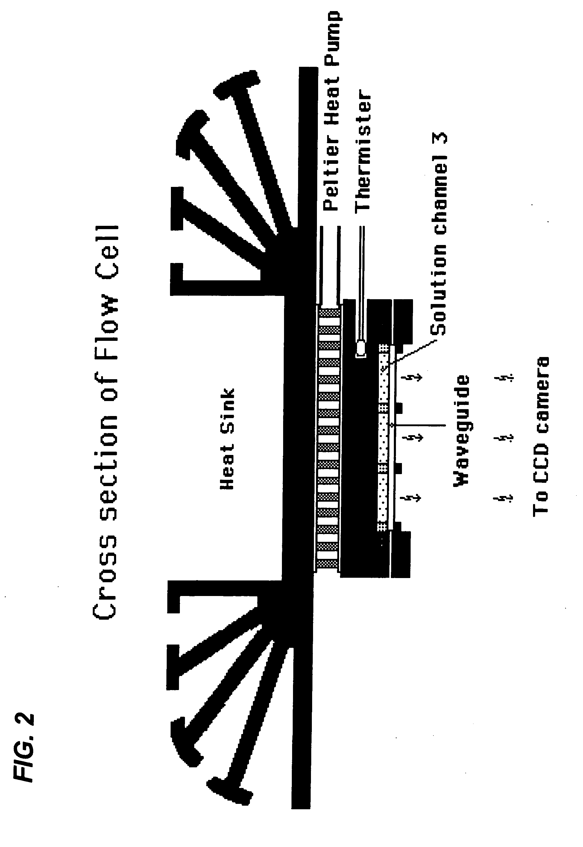 Single base extension