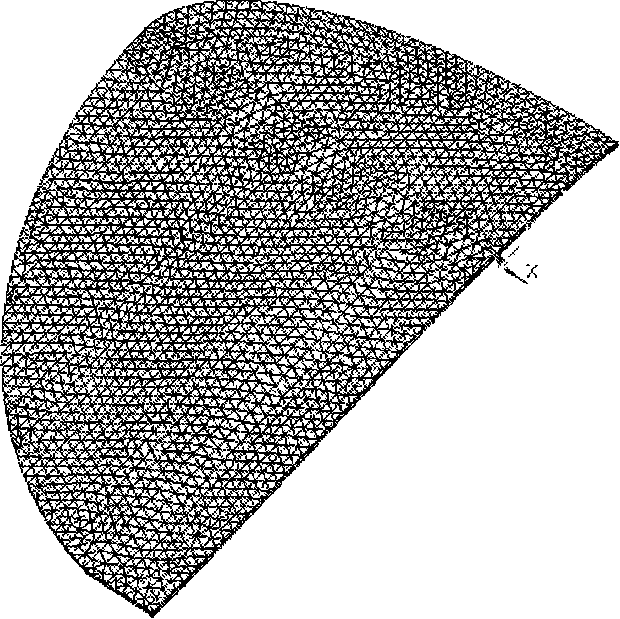 Flex wing minisize aerial craft fluid-solid coupling numerical value emulation method