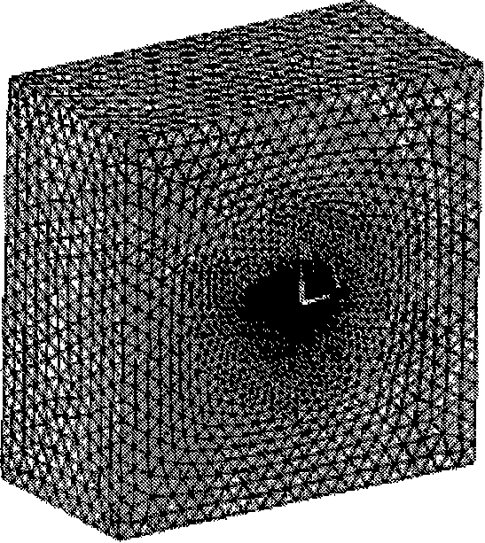 Flex wing minisize aerial craft fluid-solid coupling numerical value emulation method