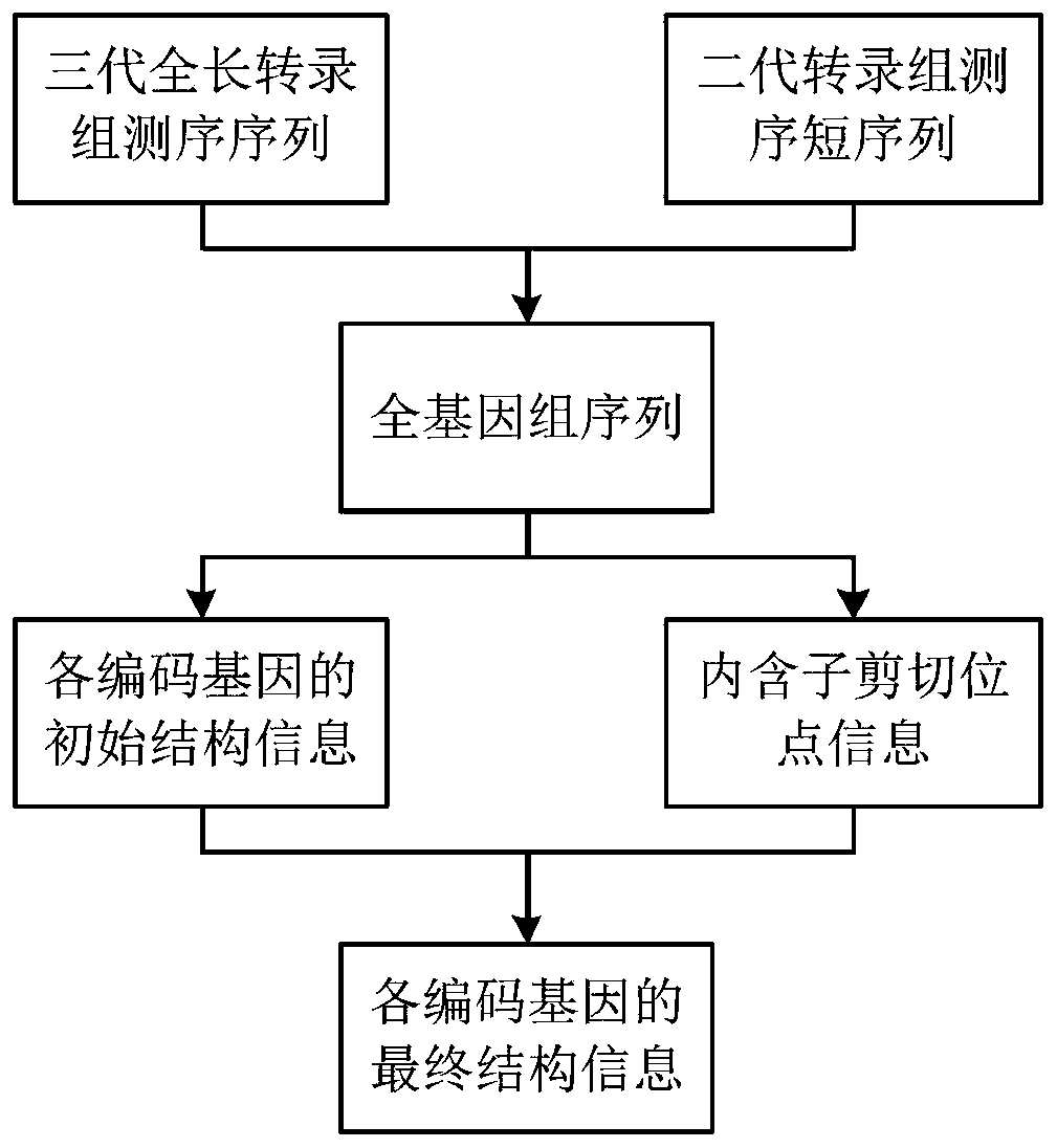 Genome annotation method utilizing second-generation and third-generation transcriptome sequencing data