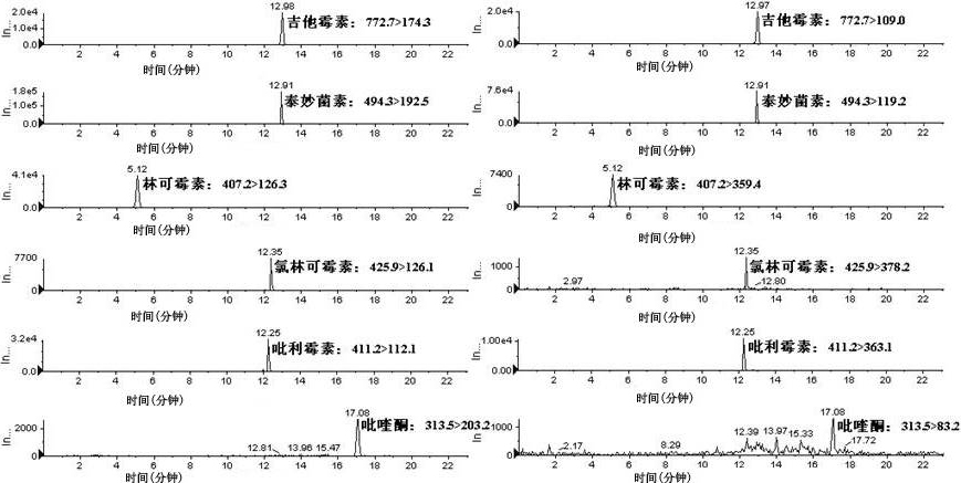 Method for simultaneously measuring various drug residues in honey by utilizing liquid chromatogram tandem mass spectrum isotope dilution method