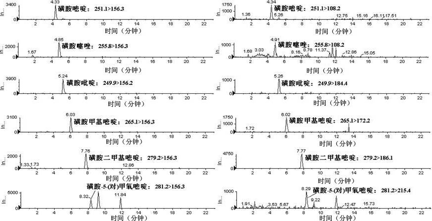 Method for simultaneously measuring various drug residues in honey by utilizing liquid chromatogram tandem mass spectrum isotope dilution method