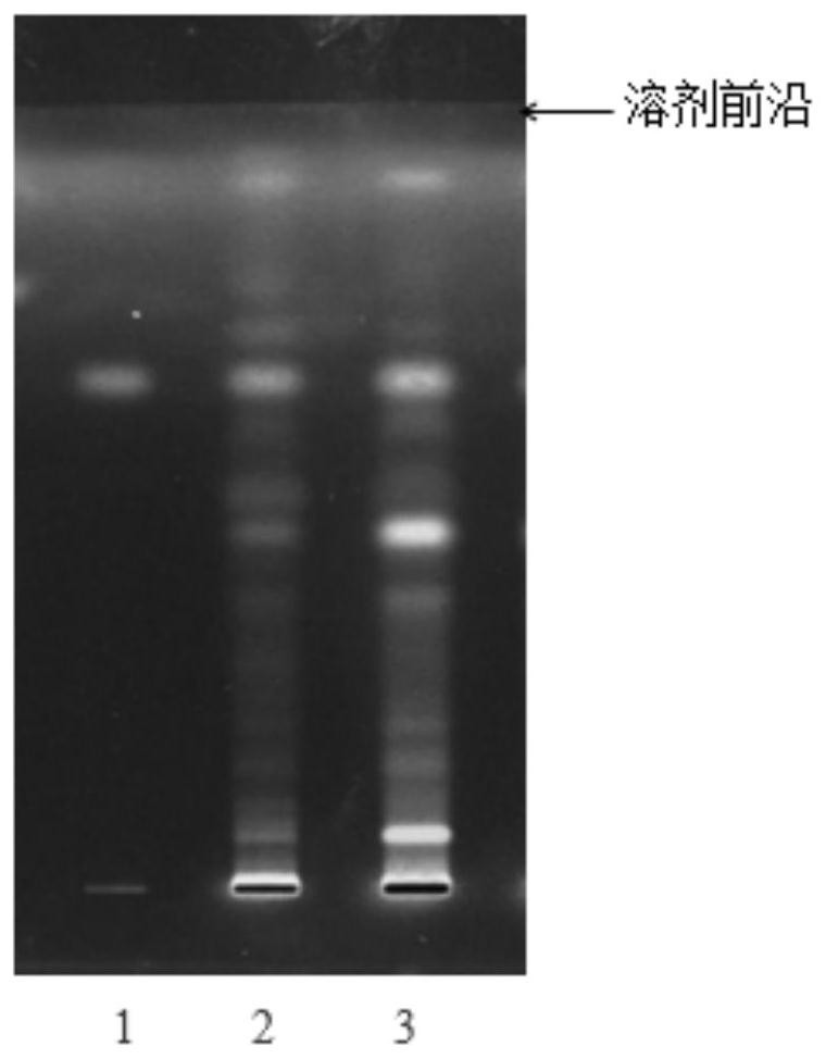 Preparation method and thin-layer identification method of rhizoma dioscoreae septemlobae test sample