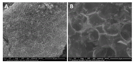 Preparation method of honeycombed graphene/tungsten carbide/platinum composite electrocatalyst and application thereof