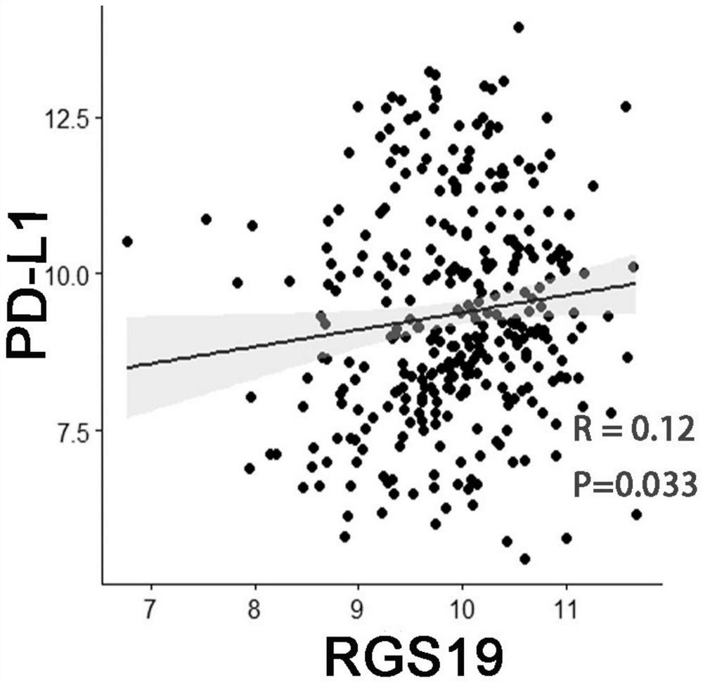 Application of RGS19 in construction of lung squamous cell carcinoma prognosis prediction model as diagnostic marker