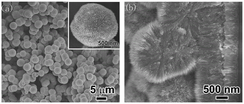 Solar cell electrode, preparation method therefor, and solar cell