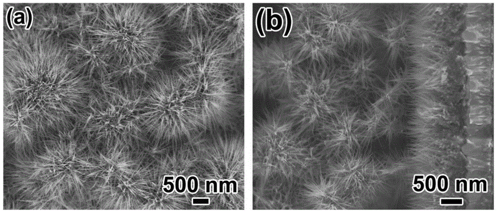 Solar cell electrode, preparation method therefor, and solar cell