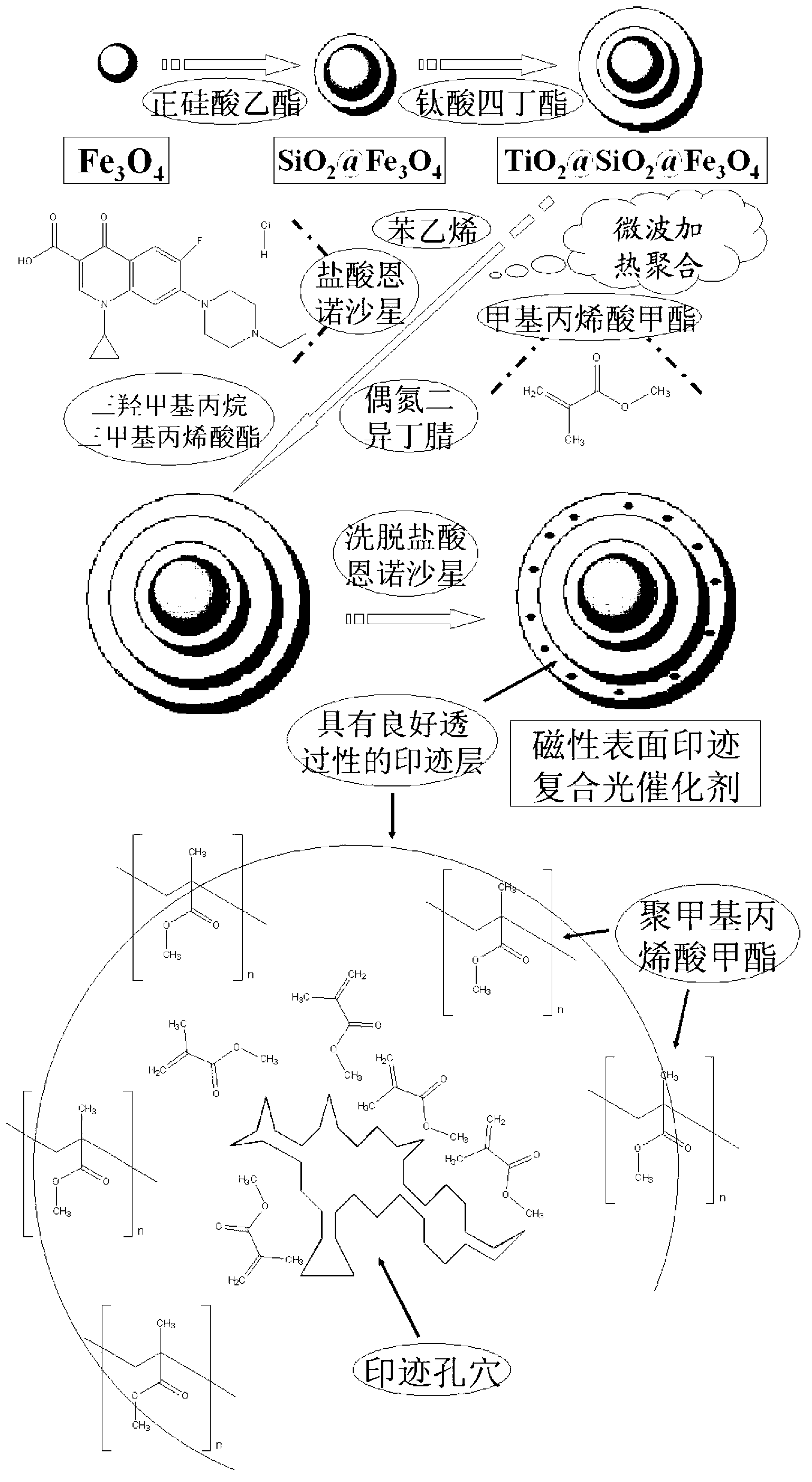 Preparation method of magnetic imprinting composite photocatalyst with good light transmission