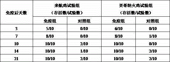 Preparation method and application of chicken white diarrhea salmonella inactivated vaccine