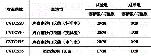 Preparation method and application of chicken white diarrhea salmonella inactivated vaccine