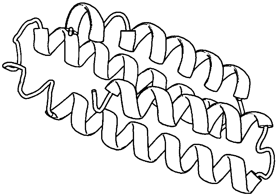 Residue contact information self-learning-based protein structure prediction method