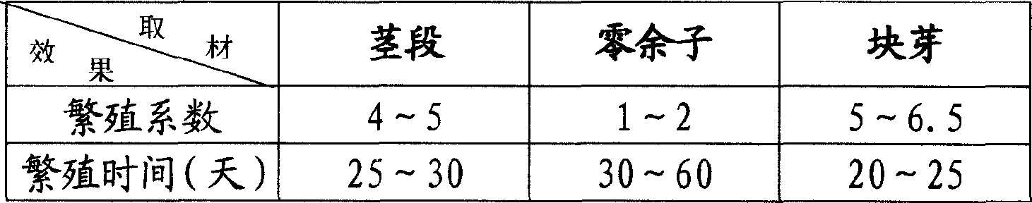 Tissue culturing method for Chinese yam