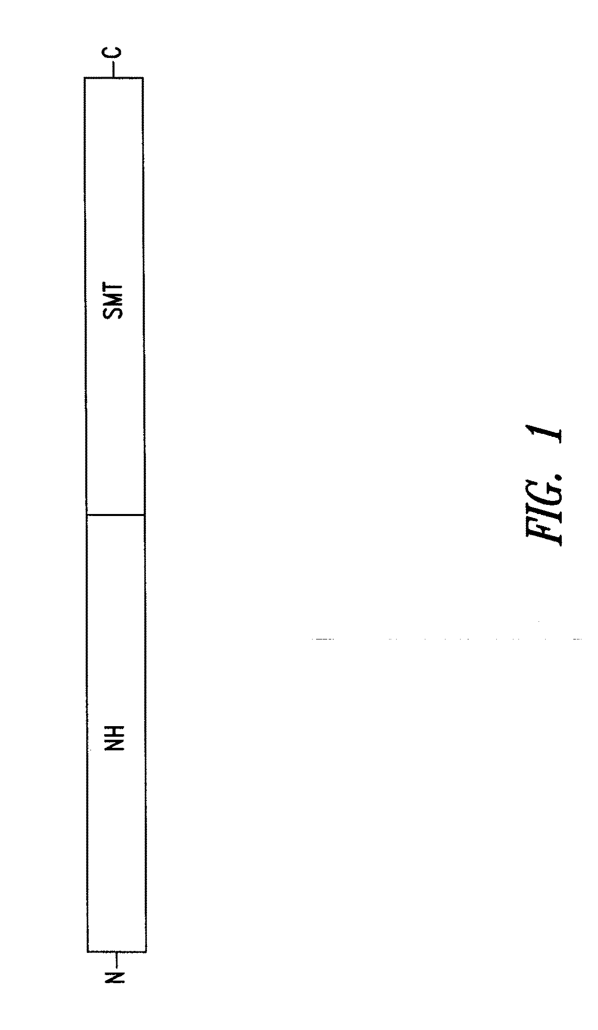 Vaccines comprising non-specific nucleoside hydrolase and sterol 24-c-methyltransferase (SMT) polypeptides for the treatment and diagnosis of leishmaniasis