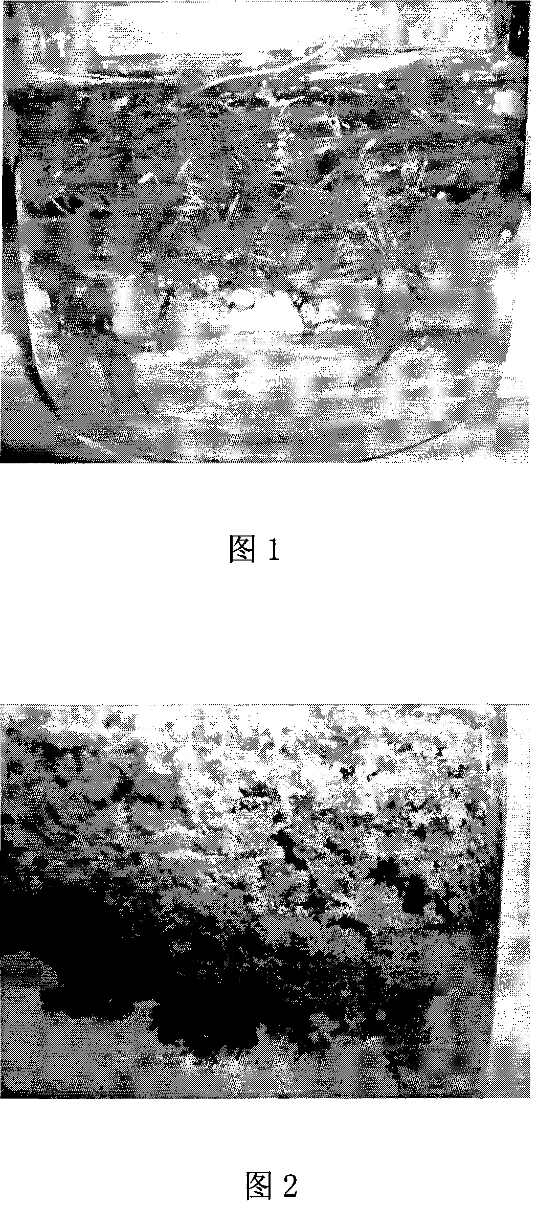 Ecological algae flocculating material