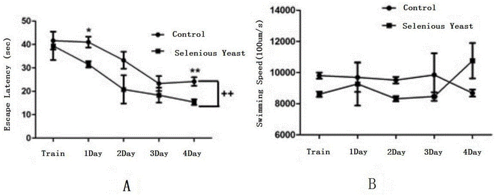 Application of selenium enriched yeast in control of Alzheimer disease