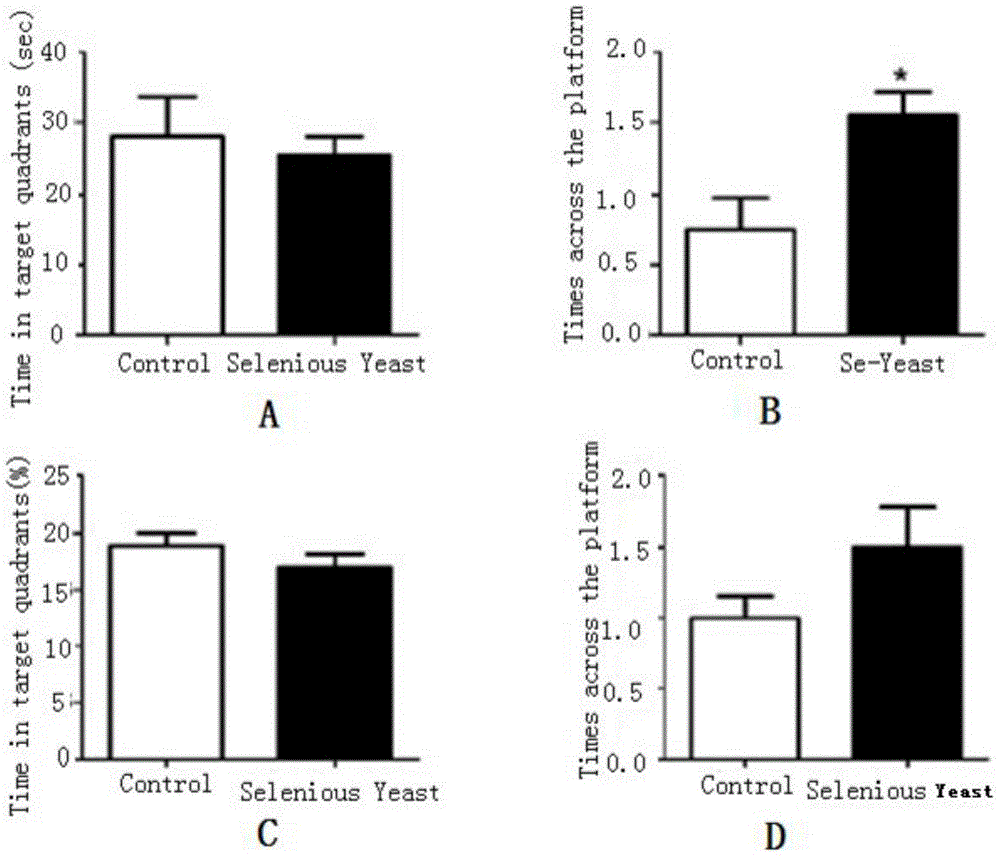 Application of selenium enriched yeast in control of Alzheimer disease