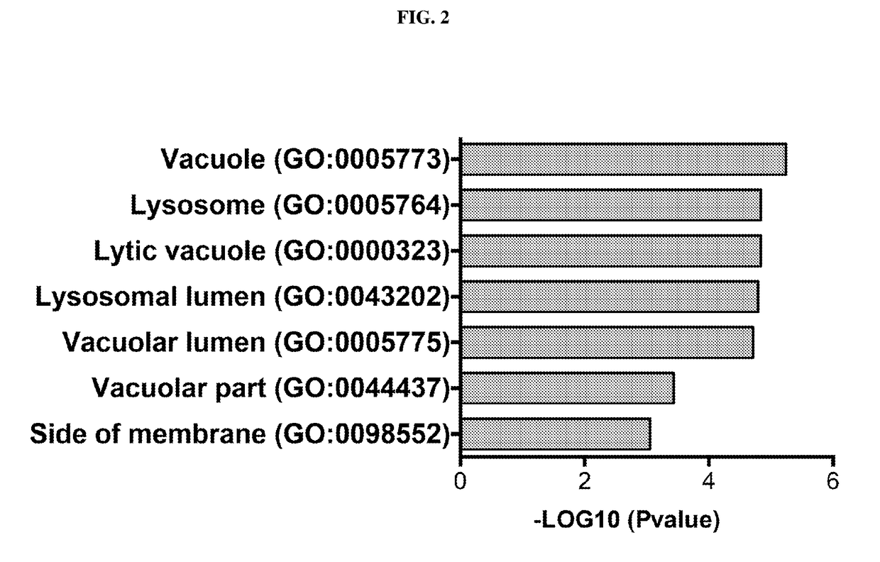 Biomarkers for Treating Cancer with Apilimod