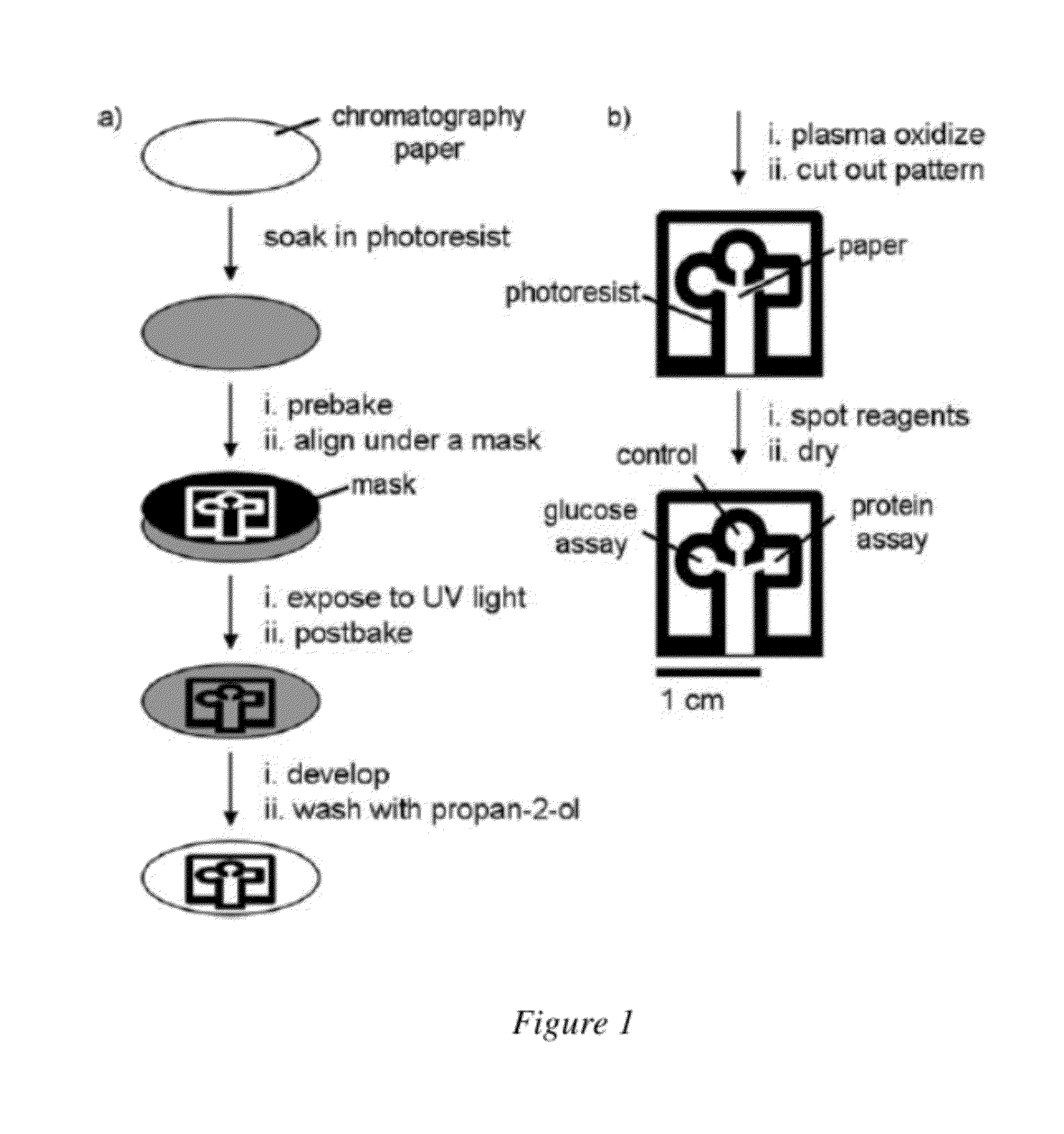 Rapid Detection of Pathogens Using Paper Devices