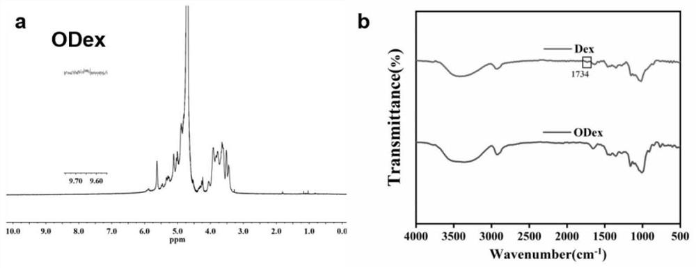 Multifunctional natural polysaccharide repair adhesive hydrogel, preparation method and application thereof in preparation of drugs for treating skin injury