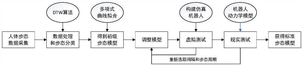 Lower limb exoskeleton robot gait stabilization algorithm for medical rehabilitation and assisted walking