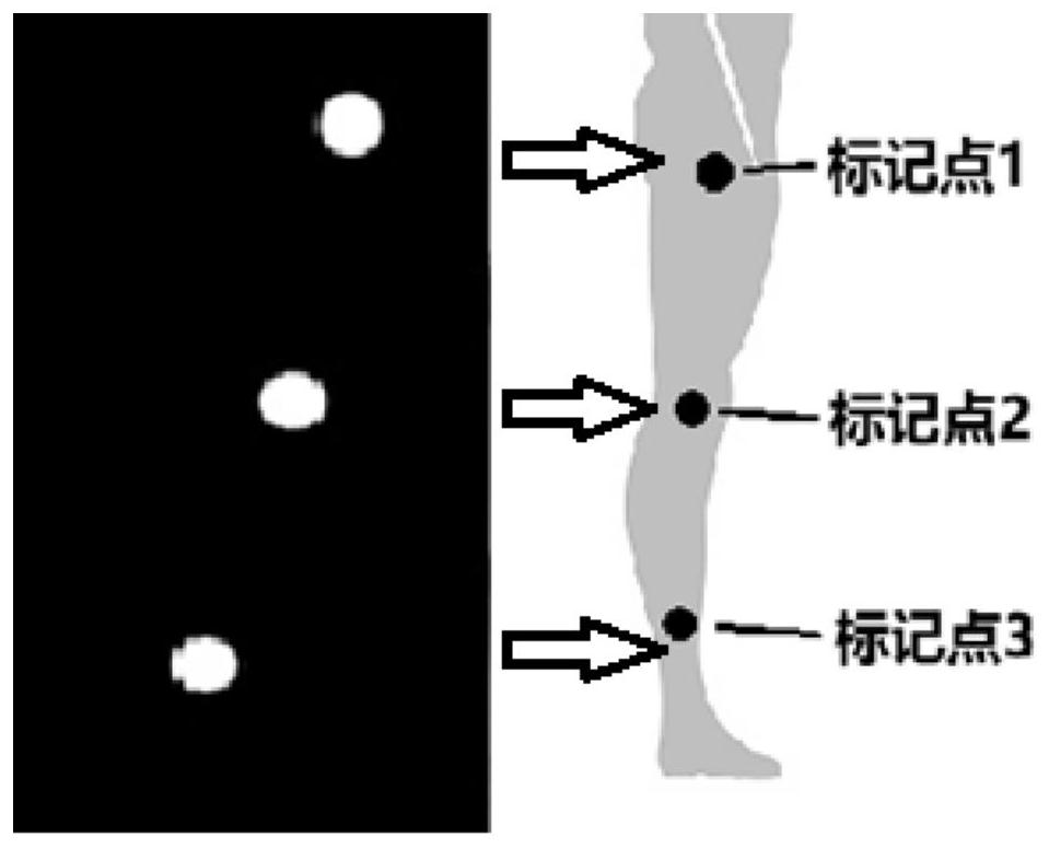 Lower limb exoskeleton robot gait stabilization algorithm for medical rehabilitation and assisted walking