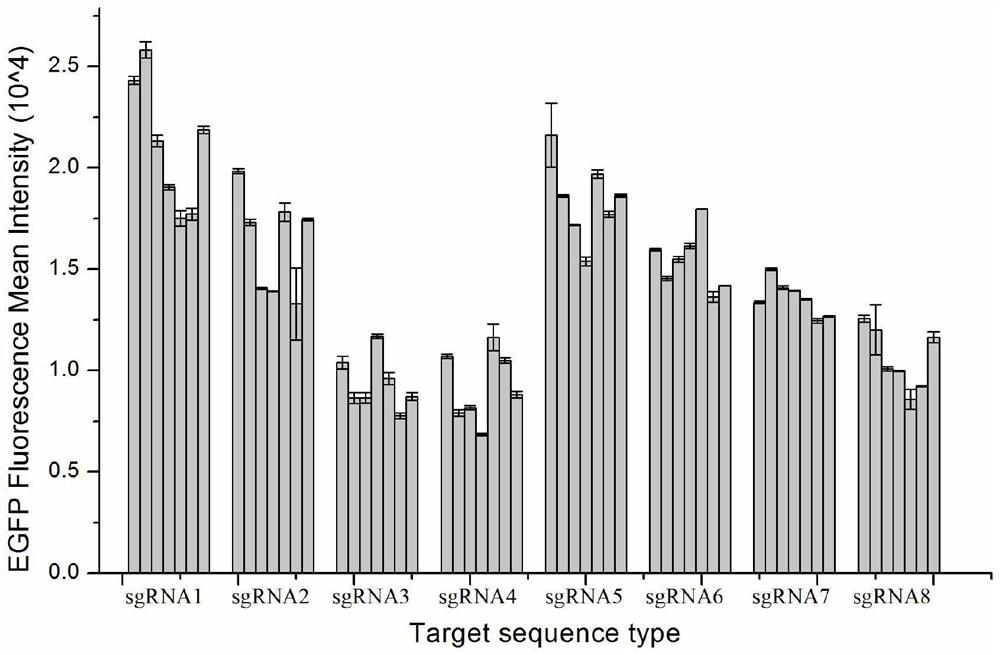 Site for stably expressing protein in CHO cell gene NW_003613781.1 and application of site