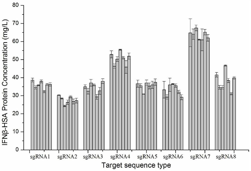 Site for stably expressing protein in CHO cell gene NW_003613781.1 and application of site