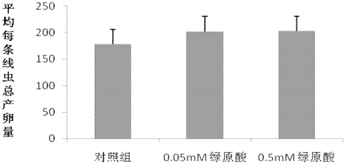 Application of 3-(3,4-dihydroxycinnamoyl) quinic acid to preparation of medicines or food for preventing and treating ovulation disorder