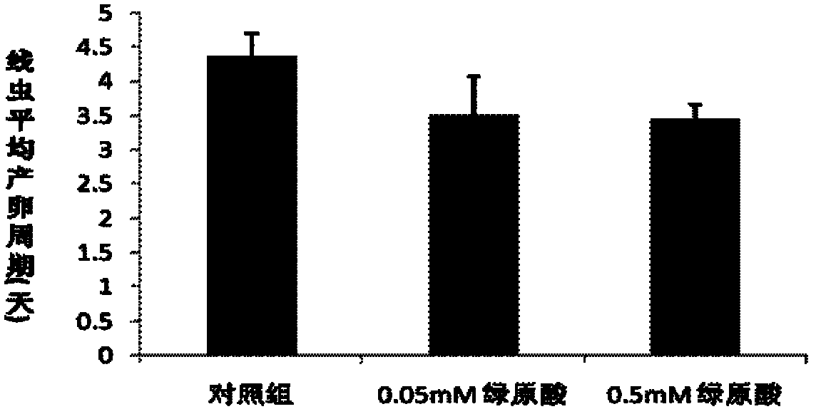 Application of 3-(3,4-dihydroxycinnamoyl) quinic acid to preparation of medicines or food for preventing and treating ovulation disorder