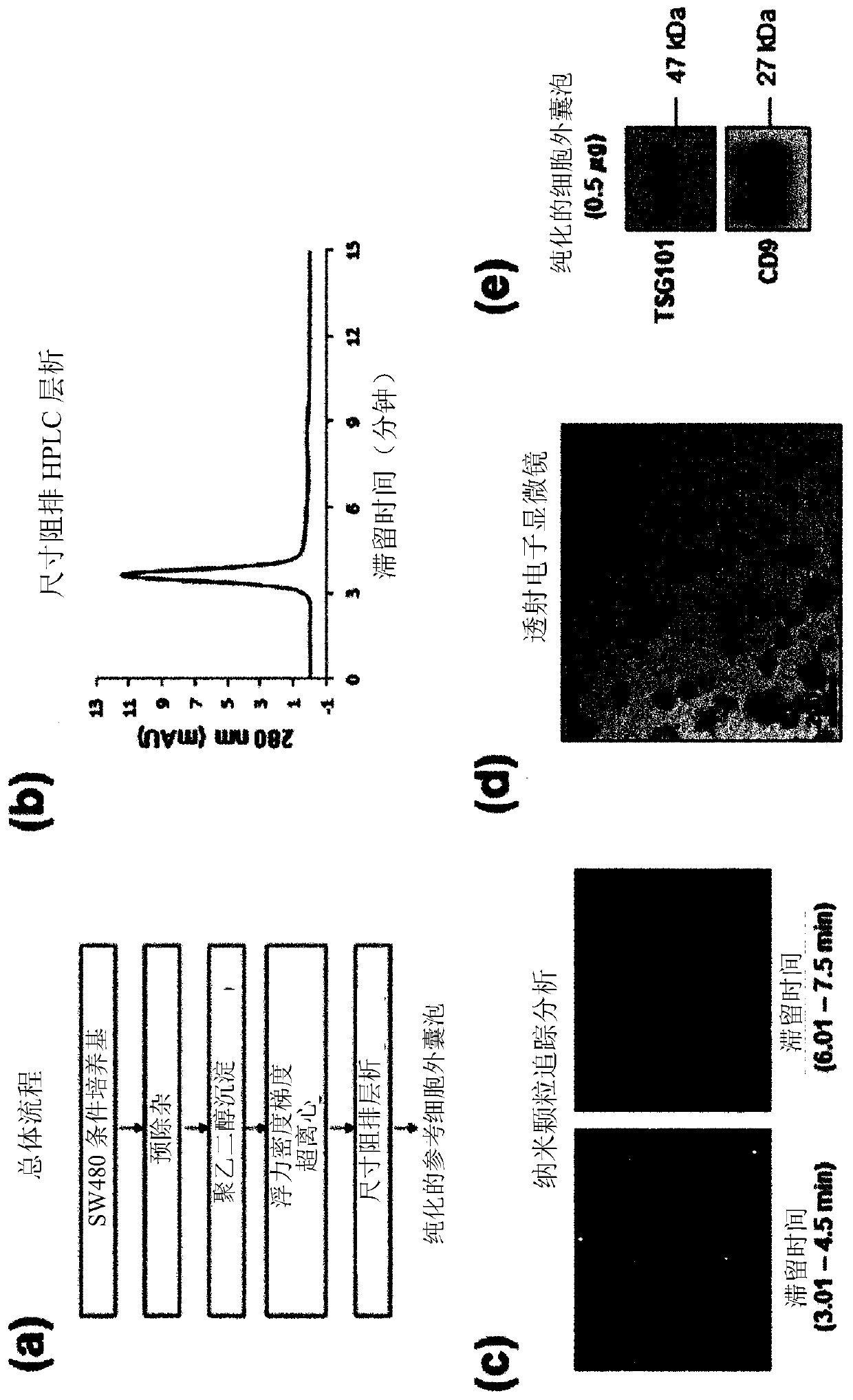 Method for isolating extracellular vesicles using cations