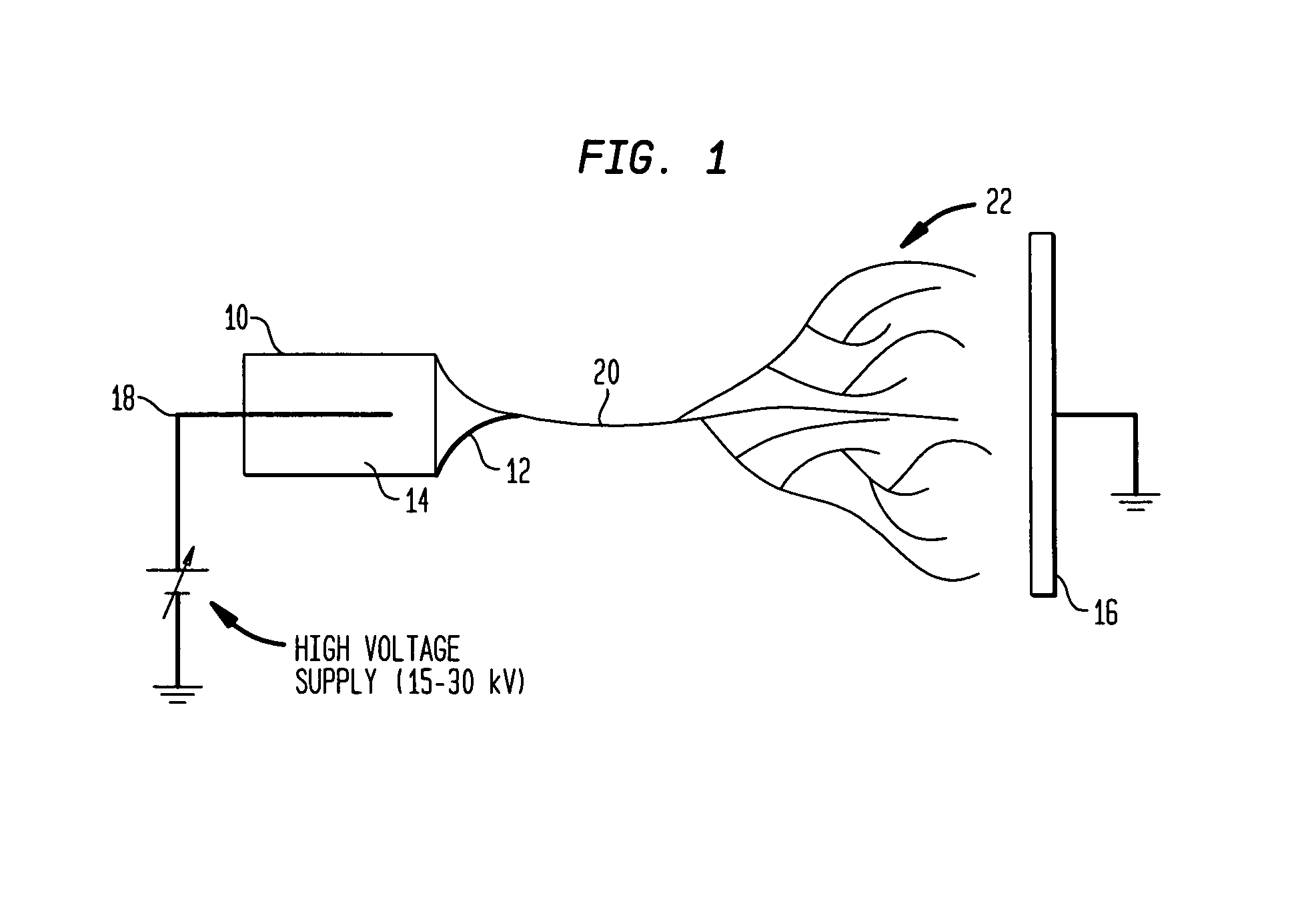 Production of tissue engineered digits and limbs