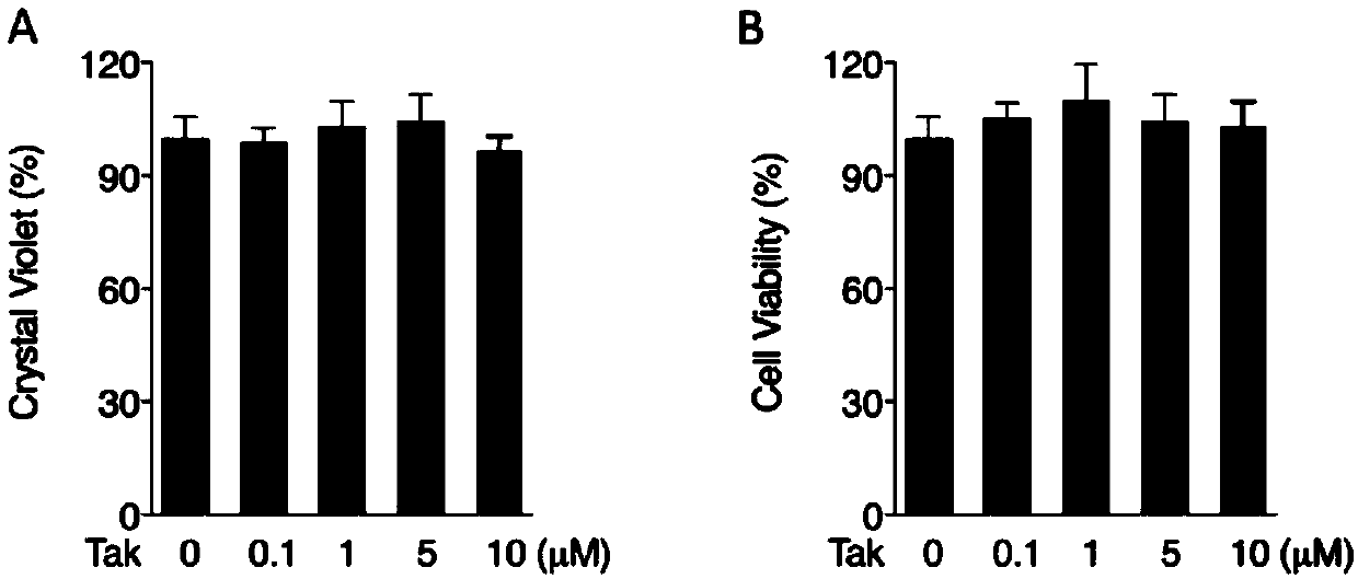 Application of (1,2,3-trimethoxybenzene)-acrylonitrile to preparing medicine for improving senileretinamacular degeneration