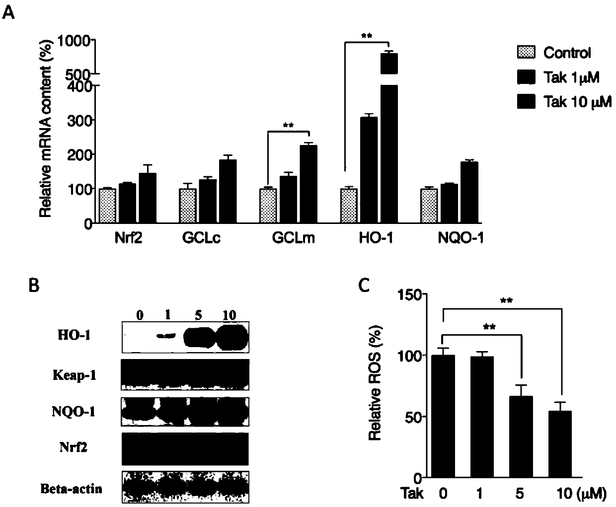 Application of (1,2,3-trimethoxybenzene)-acrylonitrile to preparing medicine for improving senileretinamacular degeneration