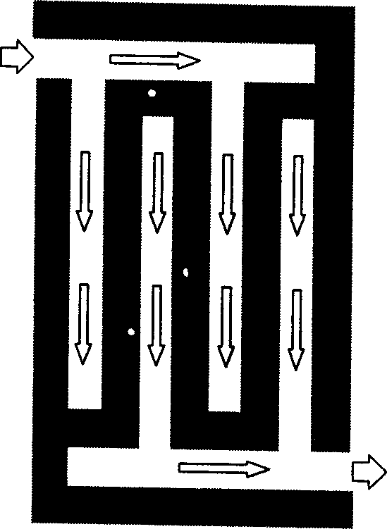 Asymmetric interlaced flow passage double pole plate of proton exchange membrane fuel cell